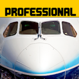 飞行模拟787(flight 787)
